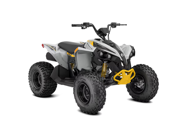 110 efi.png